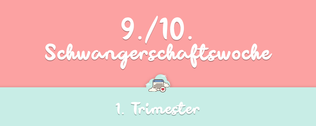 9 10 Schwangerschaftswoche Infos Und Tipps Meinbaby123