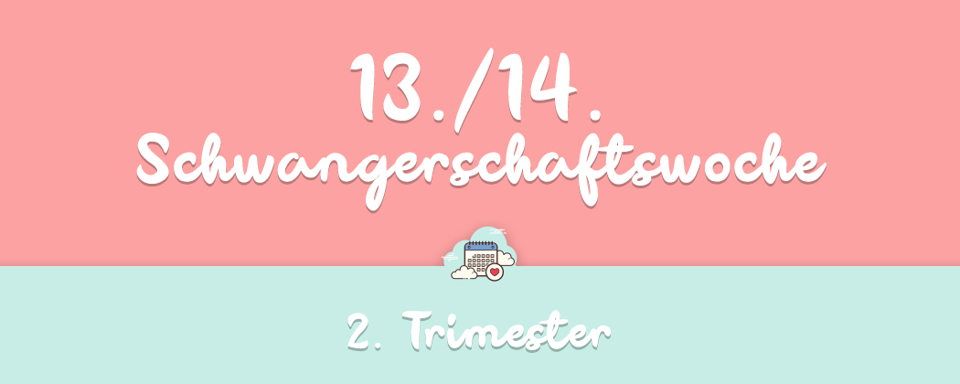 13 14 Schwangerschaftswoche Infos Und Tipps Meinbaby123