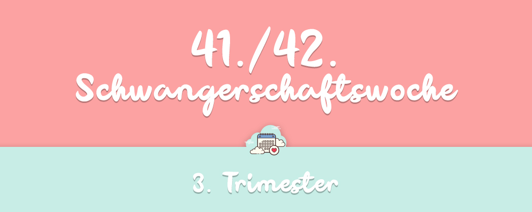 Banner: 41./42.  Schwangerschaftswoche