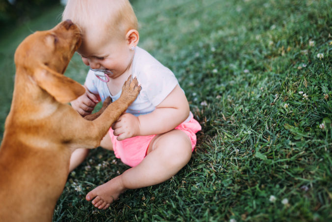 Baby mit Hund