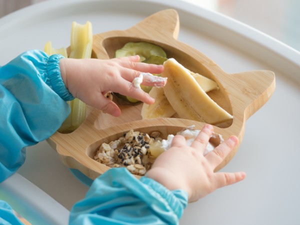 Baby Led Weaning