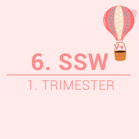 6. SSW