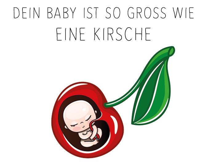 Baby Größe 6. SSW