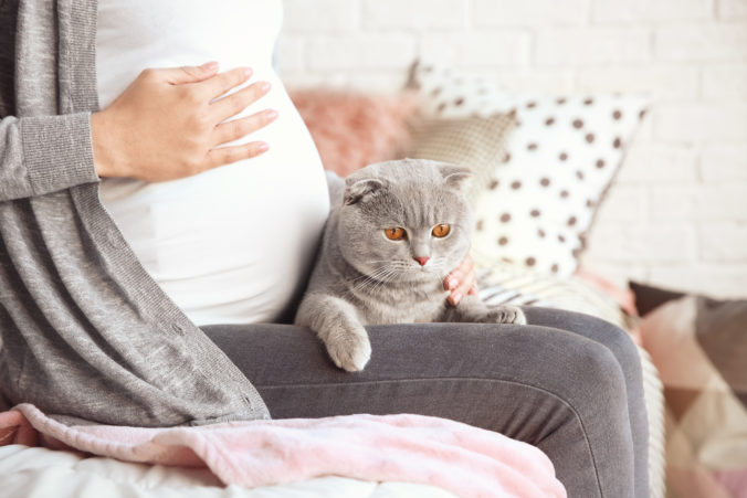 Schwangere streichelt Katze