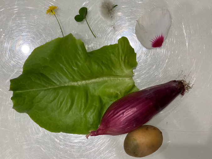 Salatblatt, Zwiebek, Kartoffel und Blumenblätter