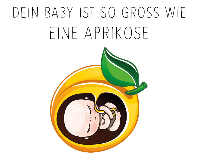 Babygröße 9. SSW