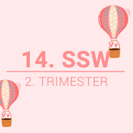 14. SSW