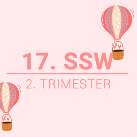 17. SSW