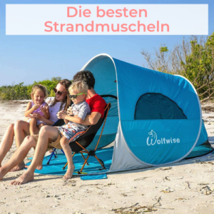 Die besten Strandmuscheln