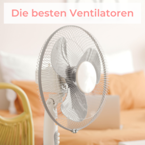 Ventilator