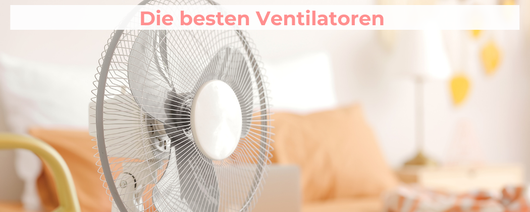 Ventilator