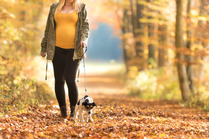 Schwangere Frau spaziert mit Hund durch Wald