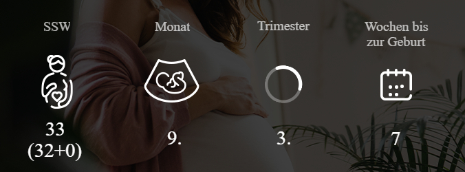 33. SSW Überblick Trimester und Monat