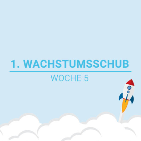 Der 1. Wachstumsschub in der 5. Woche