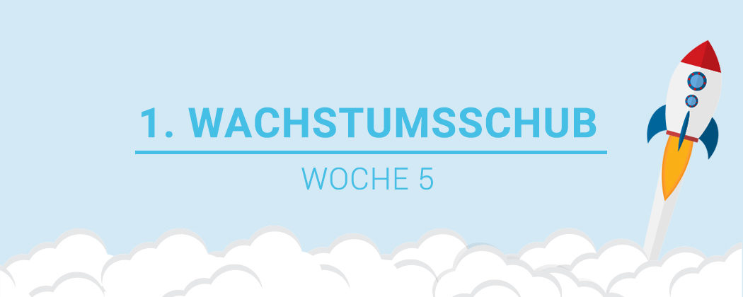 Banner: Der 1. Wachstumsschub – alles was du wissen musst