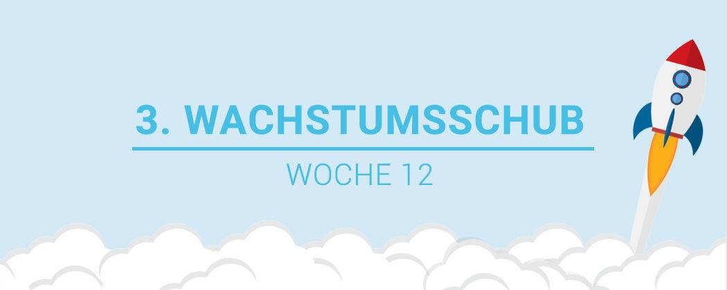 Banner: Der 3. Wachstumsschub – alles was du wissen musst