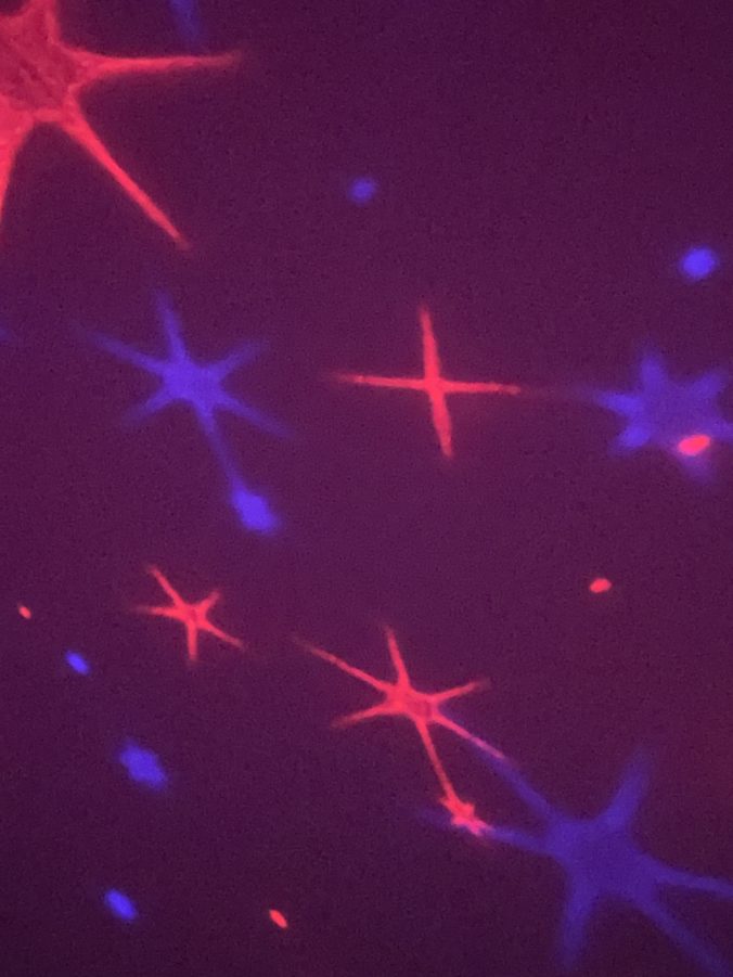 reer MyMagicStarlight Sternenbild an Wand