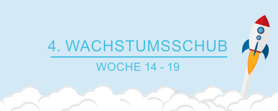 Banner: Der 4. Wachstumsschub – alles was du wissen musst