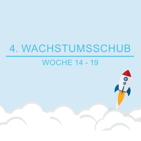 4. Wachstumsschub mit Wochen