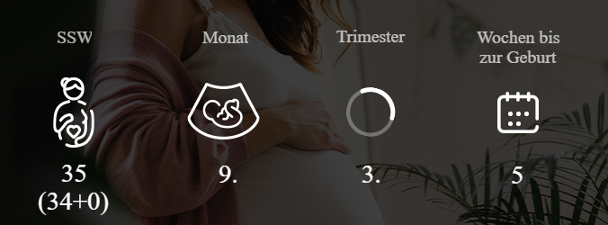 35. SSW Überblick über Woche und Monat