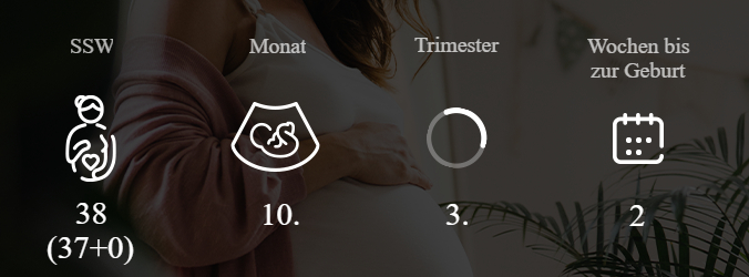 38. SSW Überblick über die Woche