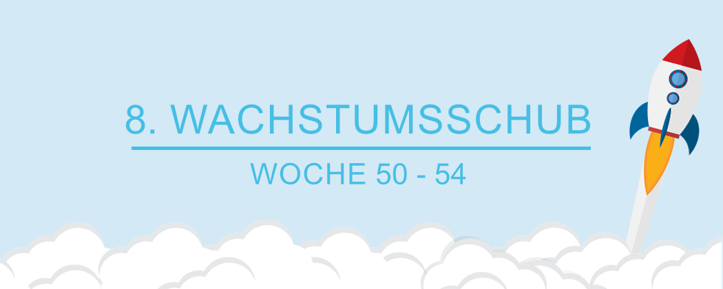 Banner: Der 8. Wachstumsschub – alles was du wissen musst