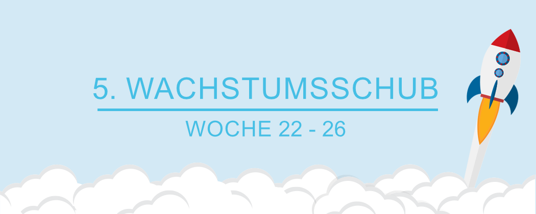 Banner: Der 5. Wachstumsschub – alles was du wissen musst