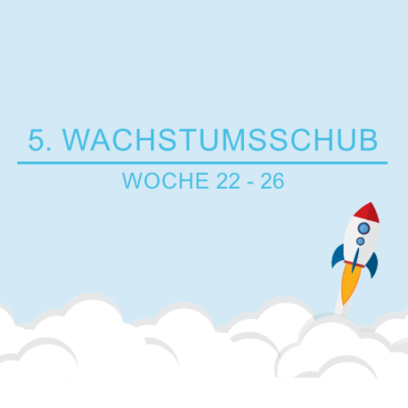 5. Wachstumsschub Wochen Beitragsbild