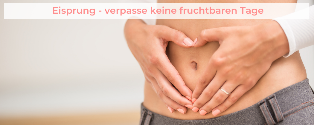 Banner: Eisprung & Eisprungrechner – verpasse keinen fruchtbaren Tag!