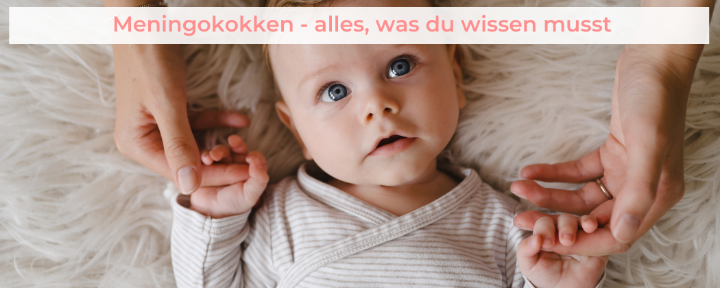 Banner: Meningokokken – alles, was du wissen musst