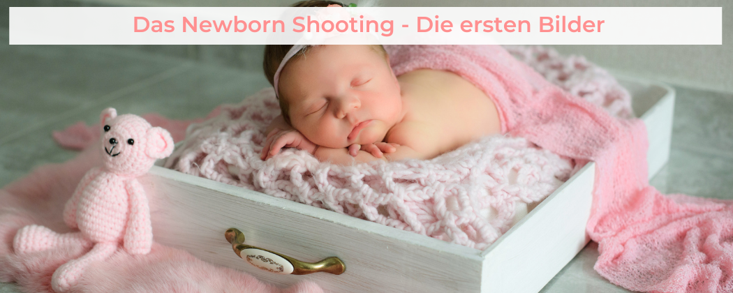 Banner: Das Newborn Shooting – Die ersten Bilder