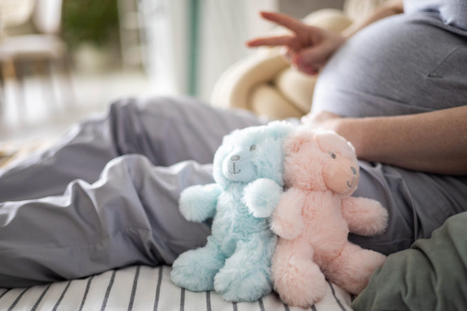 Schwangere Frau sitzt im Hintergrund auf der Couch und ist anscheinend mit Zwillingen schwanger. Im Vordergrund blauer und rosa Teddy 