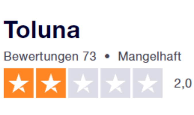 Toluna Bewertung