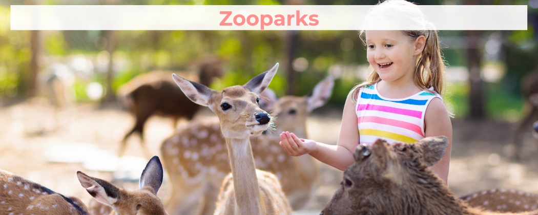 Zooparks - tierischer Spaß für die ganze Familie
