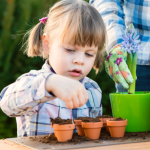 Anzuchtsets für Kinder bei Amazon