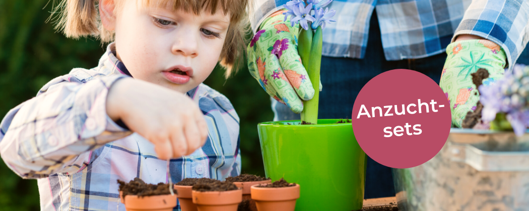 Anzuchtsets für Kinder bei Amazon