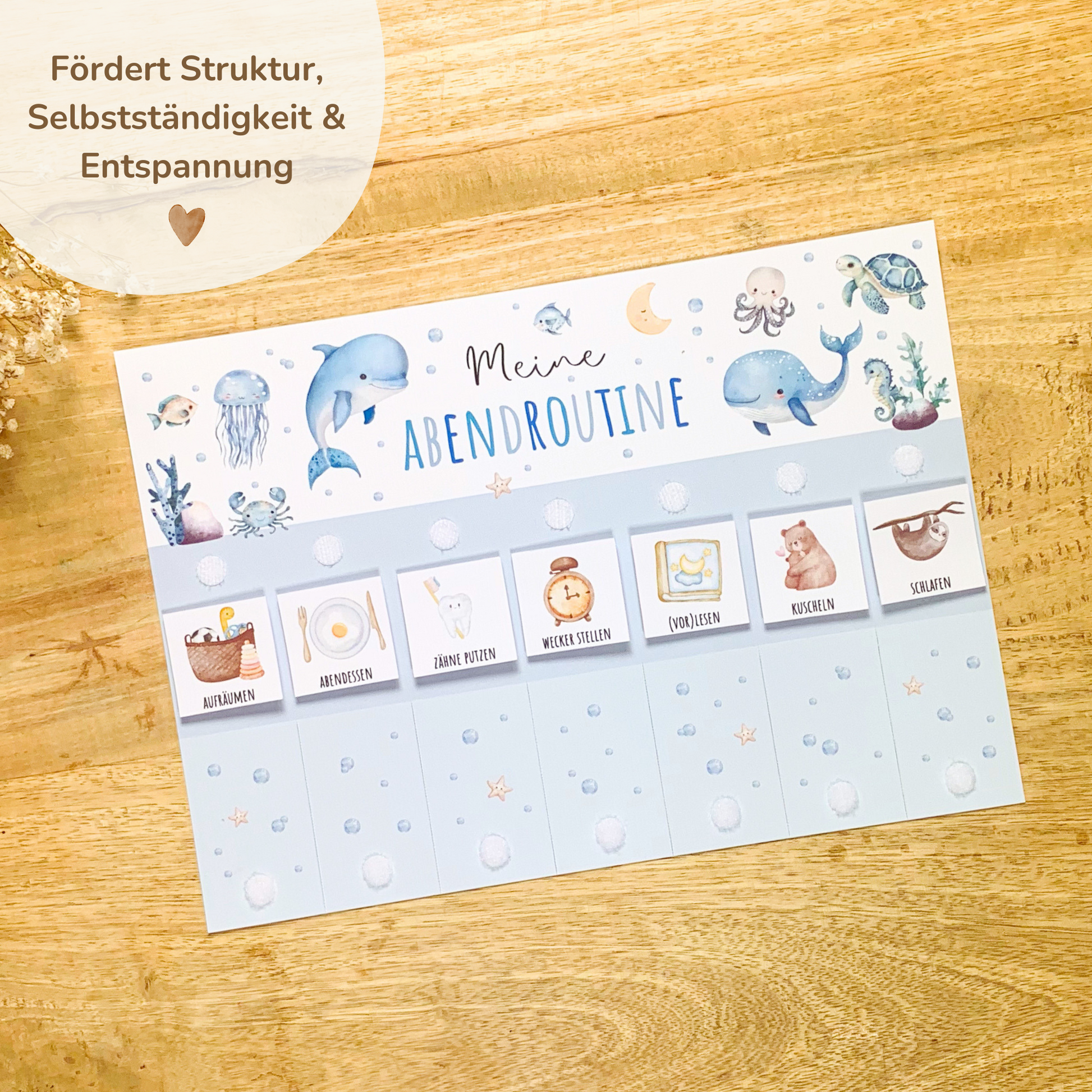 digitaler-download-morgen-abend-routine-unterwassertiere